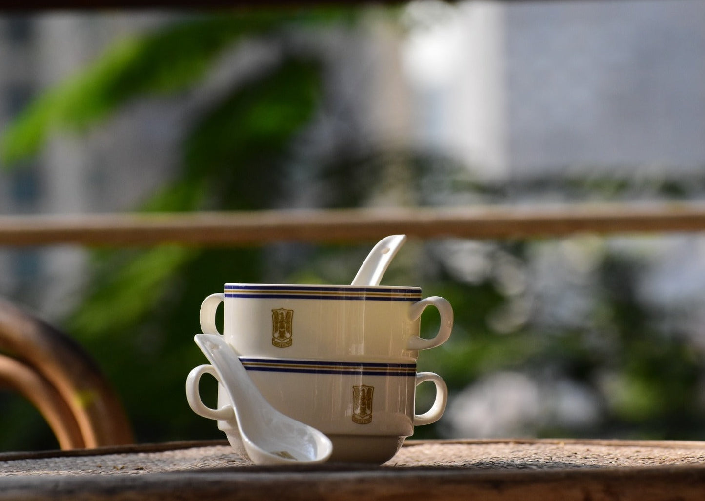 Soup cup 10 OZ | 300 ML