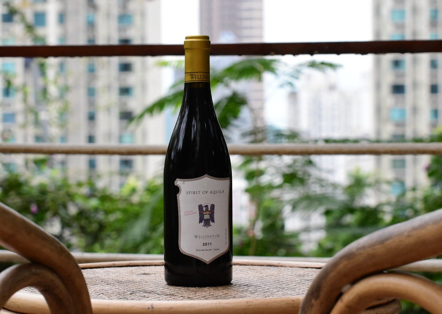 Red Wine Syrah 2011 Spirit of Aquila